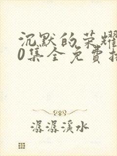 沉默的荣耀全40集全免费播放