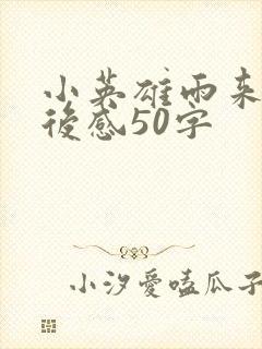 小英雄雨来的读后感50字