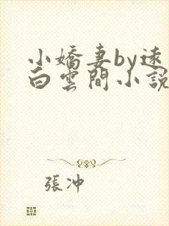 小娇妻by远上白云间小说笔趣阁封面