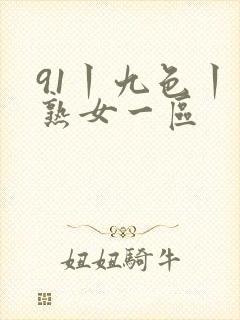 91丨九色丨老熟女一区