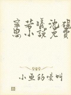 宁若曦沈砚舟黎思小说免费阅读