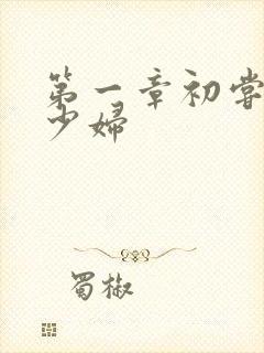 第一章初尝极品少妇
