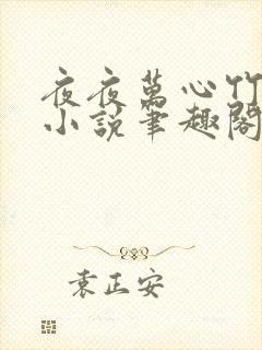 夜夜万心竹先生小说笔趣阁