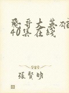 飞哥大英雄1一40集在线