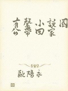 有声小说国民老公带回家