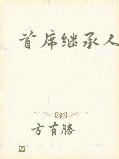 首席继承人封面