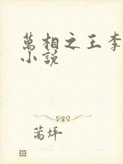 万相之王李洛的小说