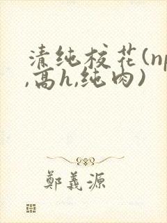 清纯校花(np,高h,纯肉)