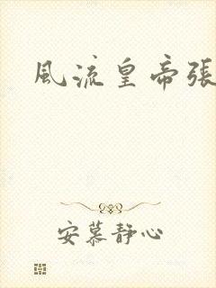 风流皇帝张无忌封面