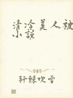 清冷美人被爆操小说