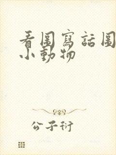 看图写话图上写小动物封面