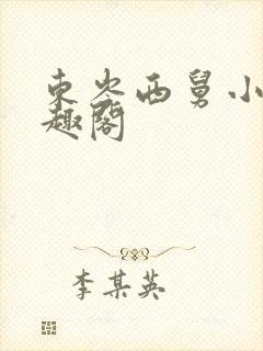 东岑西舅小说笔趣阁封面