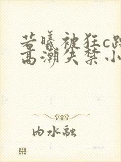 若曦被狂c躁到高潮失禁小说