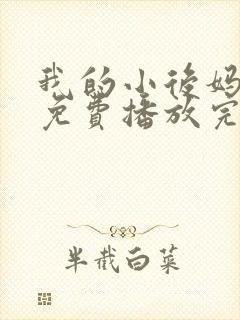 我的小后妈韩剧免费播放完整版