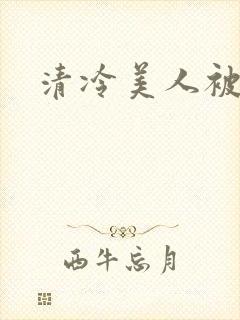 清冷美人被封面