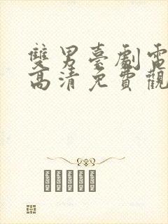 双男台剧电视剧高清免费观看