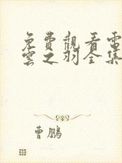 免费观看电视剧云之羽全集在线观看