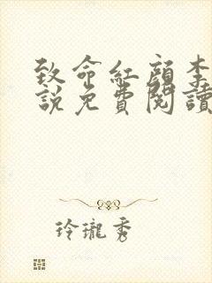 致命红颜李泽小说免费阅读全文