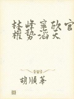 林峰宁欣官道之权势滔天