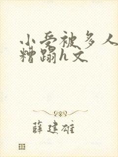 小受被多人强行糟蹋h文封面