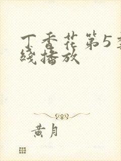 丁香花第5季在线播放