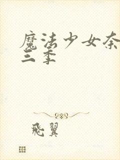 魔法少女奈叶第三季