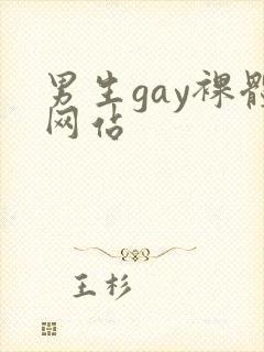 男生gay裸体网站