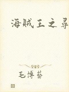 海贼王之寻亲记