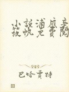 小说浦应辛和林筱帆免费阅读全文