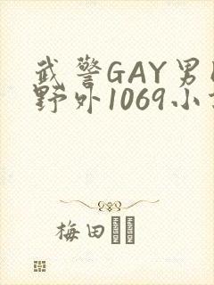 武警GAY男同野外1069小说封面