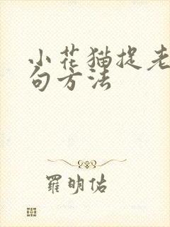 小花猫捉老鼠扩句方法