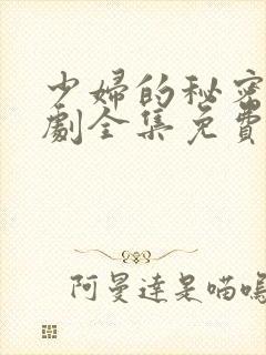 少妇的秘密电视剧全集免费