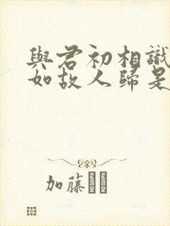 与君初相识,犹如故人归是情话吗封面