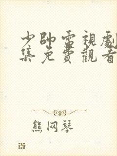 少帅电视剧48集免费观看高清