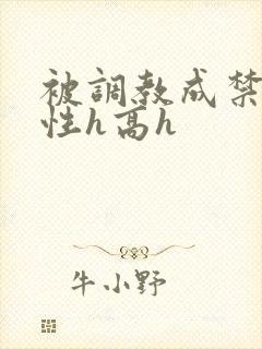 被调教成禁脔双性h高h