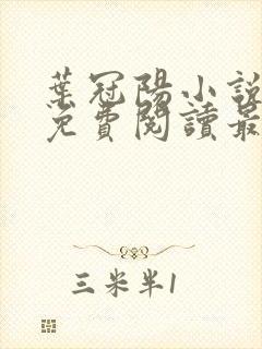 叶冠阳小说全文免费阅读最新章节