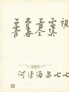 免费看电视剧正青春全集封面