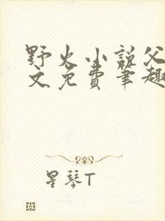 野火小说父女全文免费笔趣阁