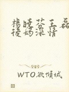 杨晓芬王磊小说后妈深情