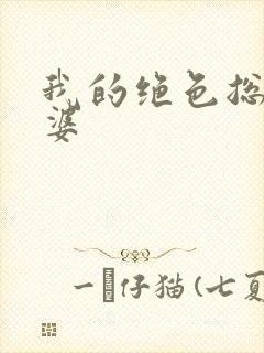 我的绝色总裁老婆封面