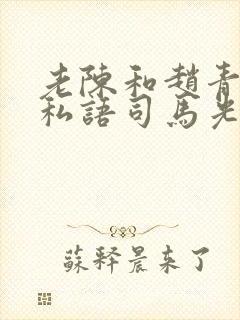 老陈和赵青窃窃私语司马光小说封面