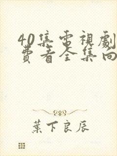 40集电视剧免费看全集向风而行