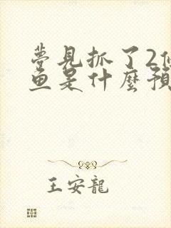 梦见抓了2条大鱼是什么预兆