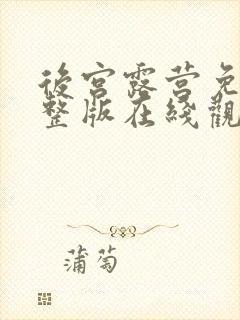 后宫露营免费完整版在线观看封面