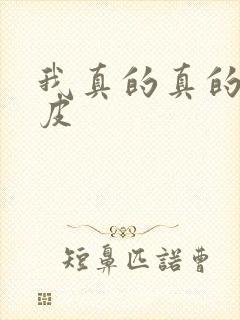 我真的真的是皮皮封面