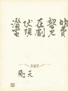 潜伏在黎明之前电视剧免费观看全集