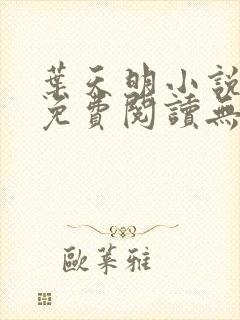 叶天明小说全文免费阅读无弹窗最新章节