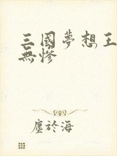 三国梦想王元姬无惨