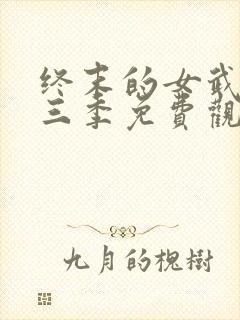 终末的女武神第三季免费观看全集的软件