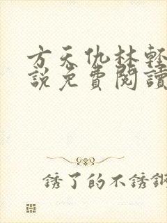 方天仇林轻语小说免费阅读